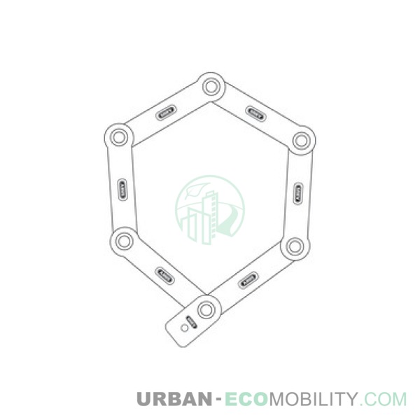 TROTTIX antivol-abus (3)