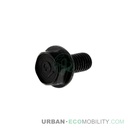 Hexagonal screw M6 x 12, black - SUPER SOCO