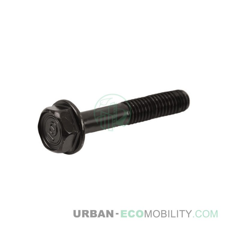 Hexagonal screw M6 x 40, black - SUPER SOCO