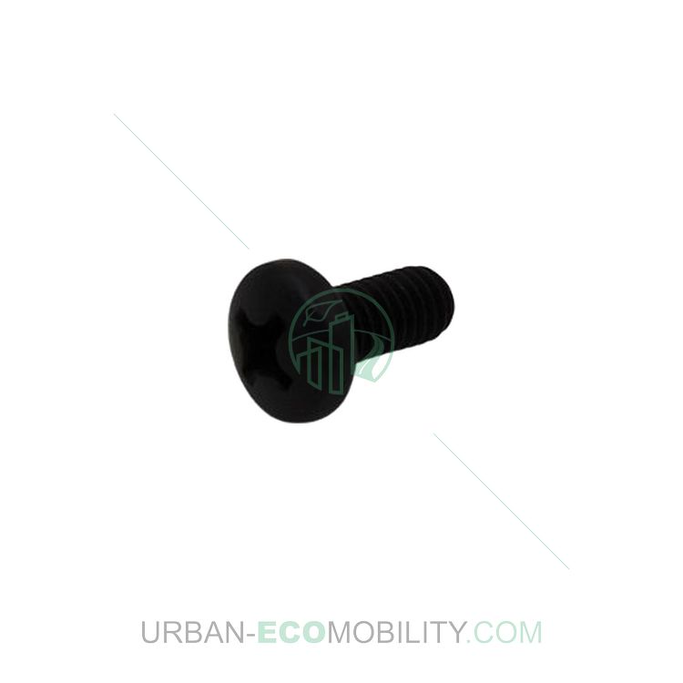 Vis à tête cylindrique cruciforme M6 x 12 - NIU