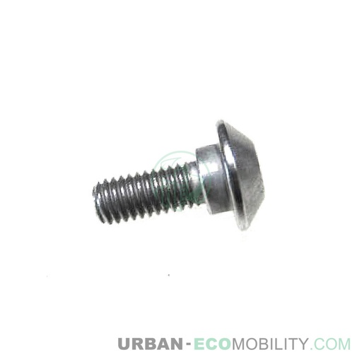 [SUP 95101-QSM-A00] Allen screw M6 - SUPER SOCO