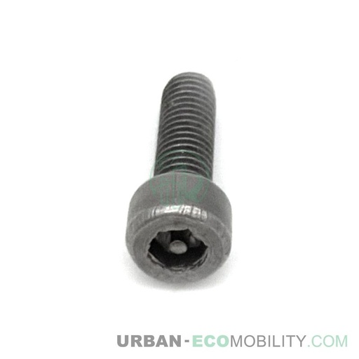 [SIL 07119-05016] Vis torx M5 x 16 - SILENCE