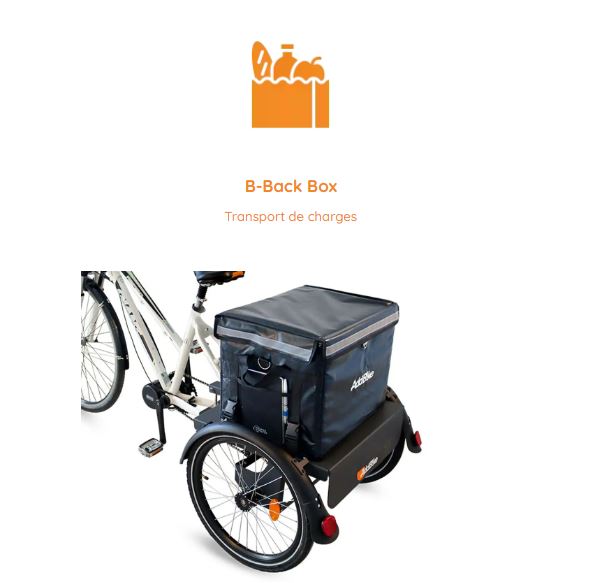 Boîte de transport taille XL pour Basketbike Tricycle électrique