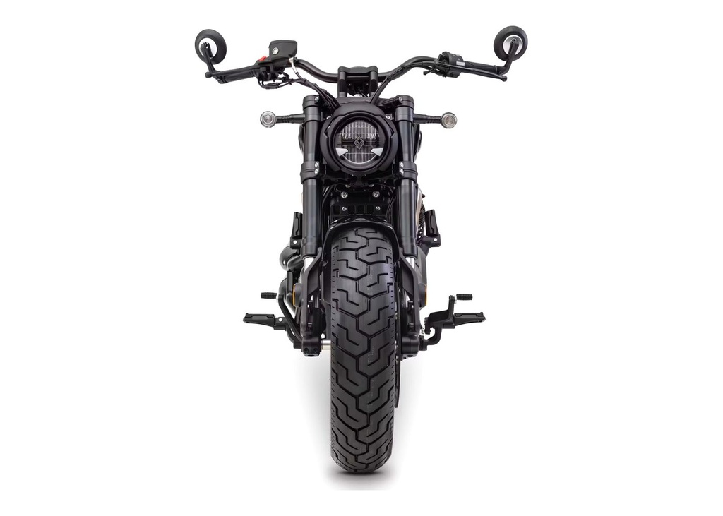 BEN CHINCHILLA500E5NOIR (4)