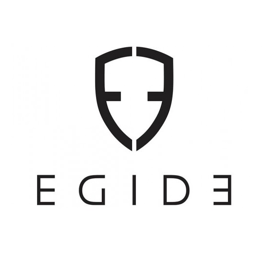 EGIDE LOGO