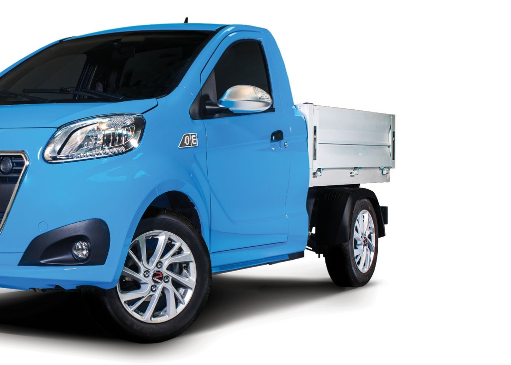 REGIS MOTORS PICK UP (2)
