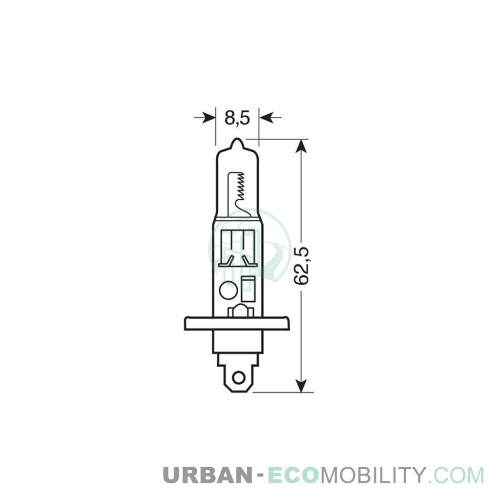 12V Ampoule halogène - H1 - 55W - P14,5s - 1 pcs  - D/Blister