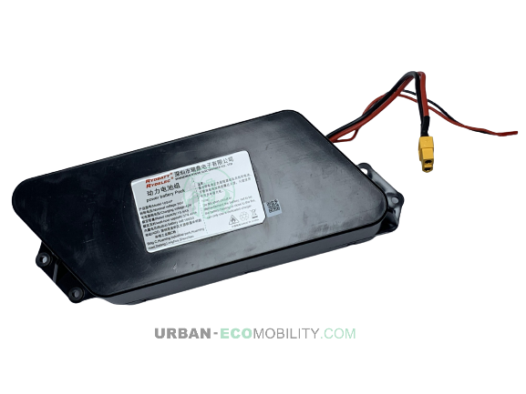 BATTERIE 36 V 10,4 AH POUR RS1 - IWALK