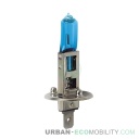 Ampoule halogène 12V effet xénon, H1, 55W, P14,5S - LAMPA