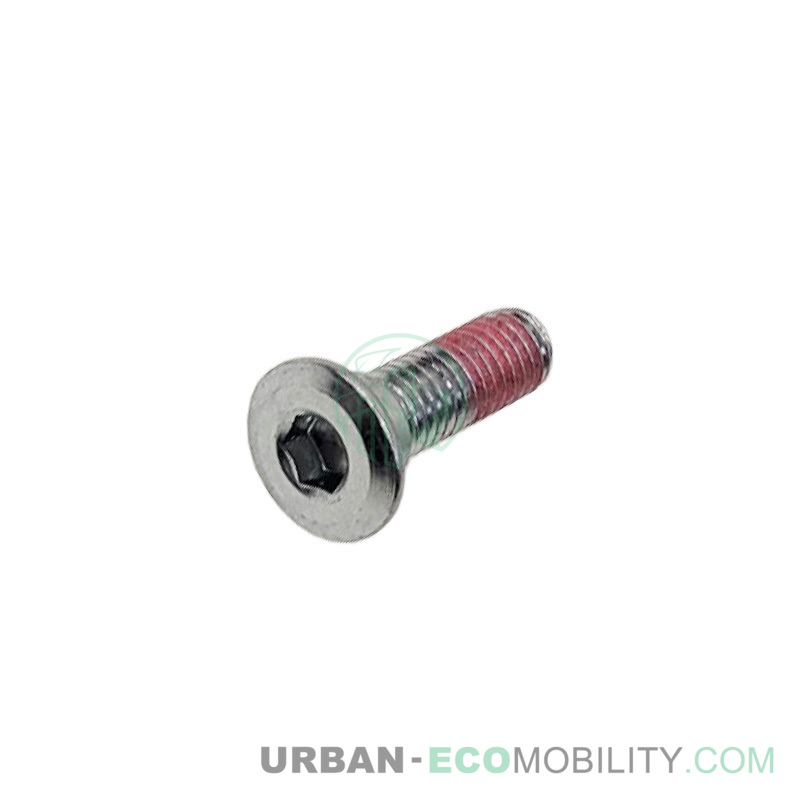 Brake disc screw M8 x 25 - SUPER SOCO