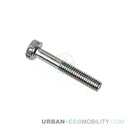 Hexagonal screw M4 x 25 - SUPER SOCO