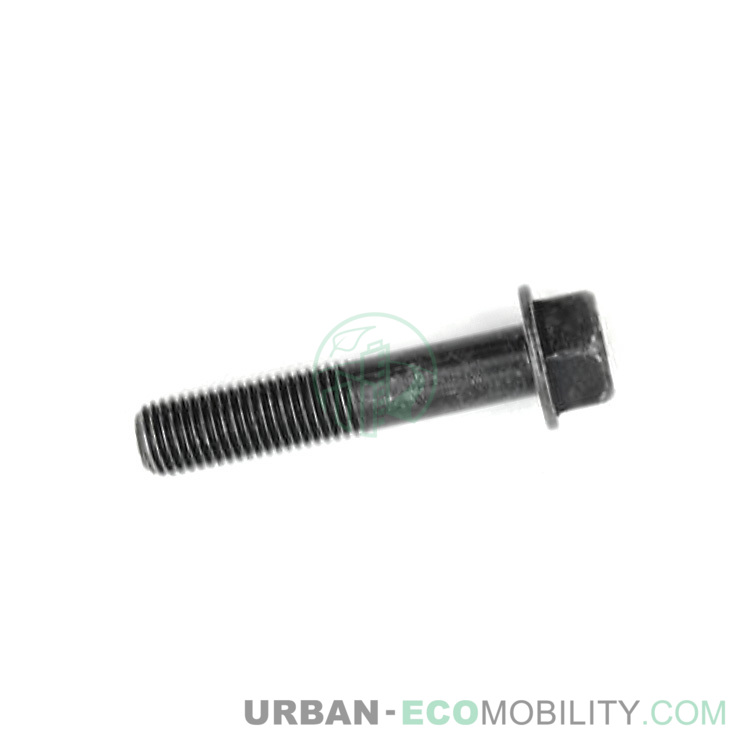 Hexagonal screw M6 x 30, black - SUPER SOCO