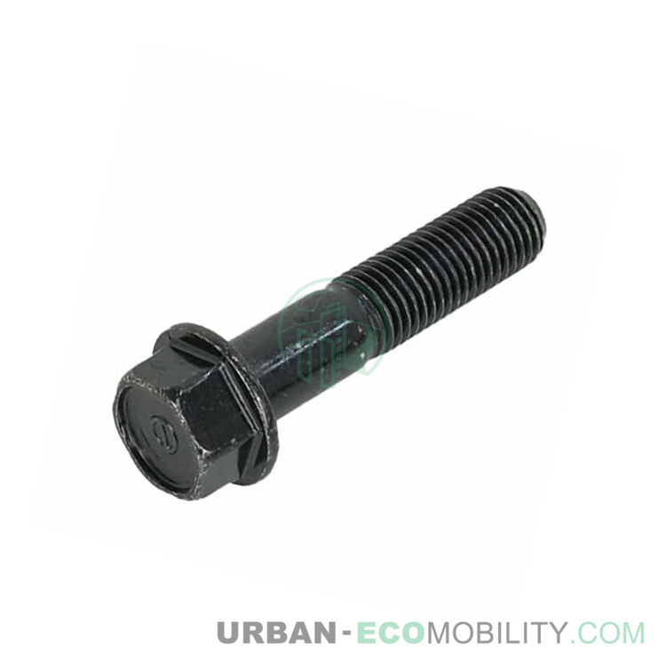 Hexagonal screw M10 x 45, black - SUPER SOCO