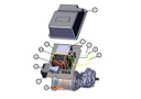 Positive battery cable - TAZZARI