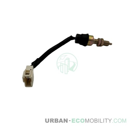 [REG R18018] Brake pedal switch - REGIS MOTORS