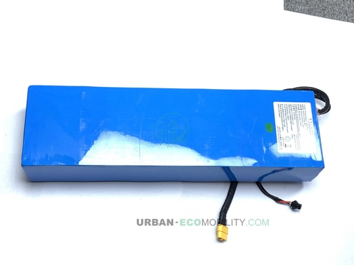 [IWA 04.36.4007-2] Batterie 48V, 12,5AH - IWALK