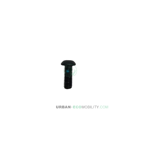 [HON 206010060108] 6-point screw M6 x 1 x 16 - HONBIKE