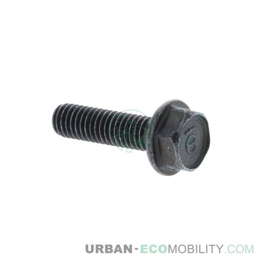 [SUP 90102-QSM-A00] Hexagonal screw M6 x 22 - SUPER SOCO