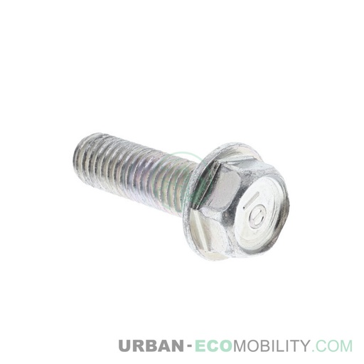 [SUP 95701-08025-08] Hexagonal screw M8 x 25 - SUPER SOCO