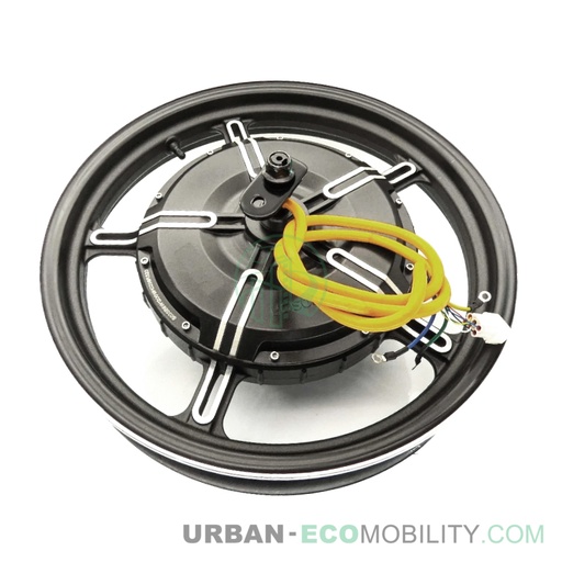 [SUP 42800-QSM-C51] Motor assembly, rear wheel - SUPER SOCO