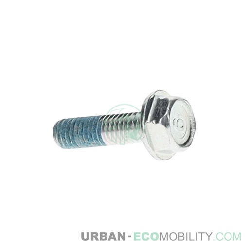 [SUP 90102-QSM-C00] Hexagonal screw M6 x 22 - SUPER SOCO